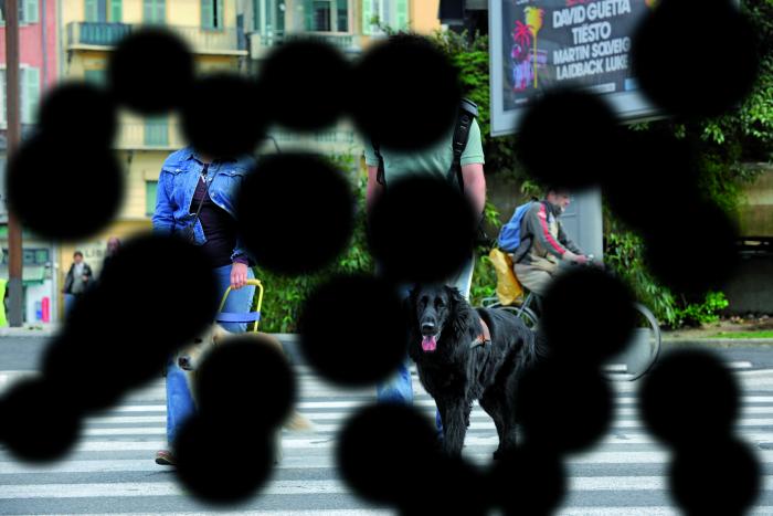 Deux personnes malvoyantes avec des lunettes de soleil qui promenent leurs chiens guides avec plein de petites taches noires partout sur la photo