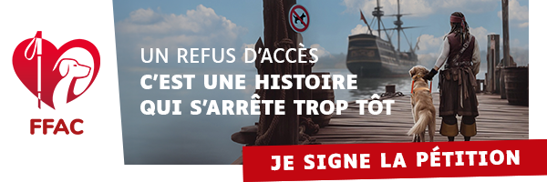 signature &quot;un refus d'accès c'est une histoire qui s'arrête trop tôt avec le pirate Jack Sparrow à quai avec son chien guide et qui contemple le Black Pearl&quot;